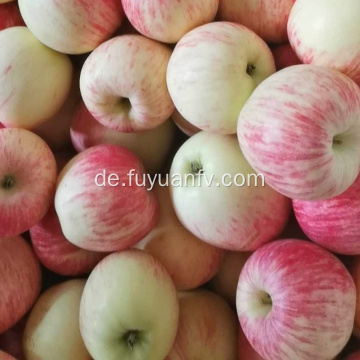 Frischer Gala-Apfel der neuen Saison 2019